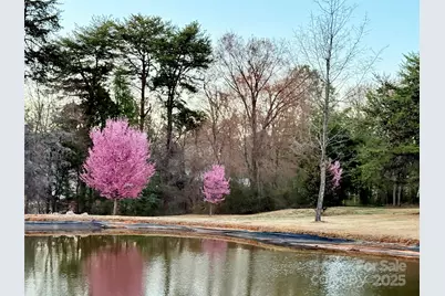 20711 Bethel Church Road, Cornelius, NC 28031 - Photo 5