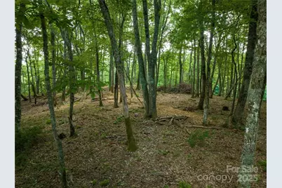 167 Bold Springs Road, Sylva, NC 28779 - Photo 37