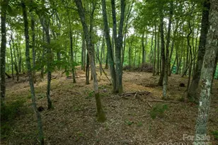 167 Bold Spgs Rd, Sylva, NC 28779 - Photo 37