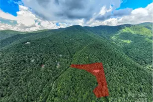 99999 Parris Branch Rd, Sylva, NC 28779 - Photo 1