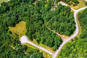 142 Elkton Ct, Mill Spring, NC 28756 - Photo 15