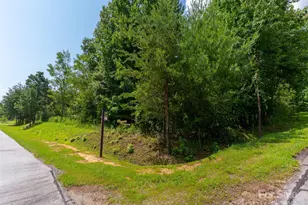 142 Elkton Ct, Mill Spring, NC 28756 - Photo 9