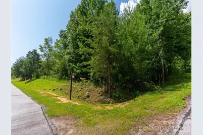 142 Elkton Court, Mill Spring, NC 28756 - Photo 9
