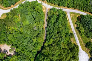 142 Elkton Ct, Mill Spring, NC 28756 - Photo 13