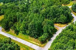 142 Elkton Ct, Mill Spring, NC 28756 - Photo 17