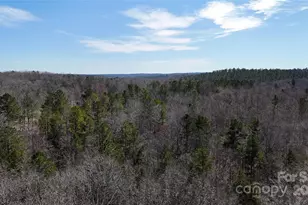 288 Brannon Rd, Union, SC 29379 - Photo 9