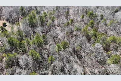 288 Brannon Road, Union, SC 29379 - Photo 5