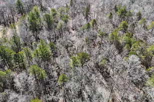 288 Brannon Rd, Union, SC 29379 - Photo 5