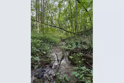 132 Hurd Road, Canton, NC 28716 - Photo 13