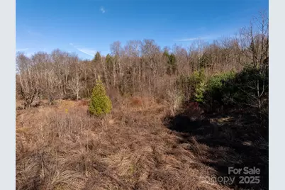 0 Woodland Drive, Waynesville, NC 28786 - Photo 9