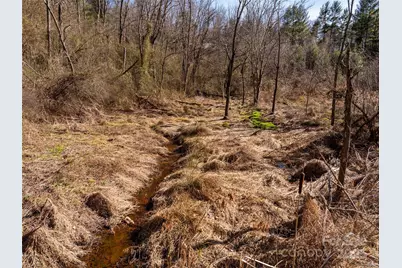 0 Woodland Drive, Waynesville, NC 28786 - Photo 13