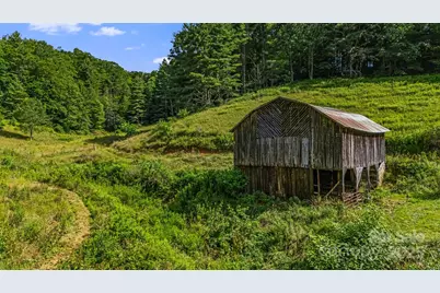 799 Fire Scald Road, Green Mountain, NC 28740 - Photo 45