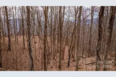 00000 Grassland Parkway #14, Marshall, NC 28753 - Photo 11