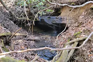 137 Moon Cir, Brevard, NC 28712 - Photo 1