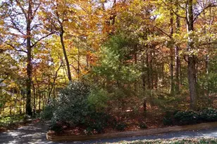 456 Mills Gap Rd, Arden, NC 28704 - Photo 41