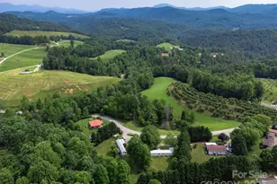 843 Deep Gap Loop Rd, Flat Rock, NC 28731 - Photo 31