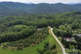 843 Deep Gap Loop Rd, Flat Rock, NC 28731 - Photo 33