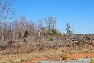 1062 Horn Bottom Rd, Forest City, NC 28043 - Photo 3