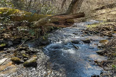 361 Rooster Cove, Brevard, NC 28712 - Photo 13