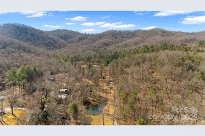 361 Rooster Cove, Brevard, NC 28712 - Photo 11