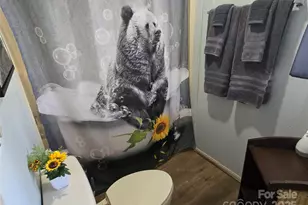 160 Whitney Blvd, Lake Lure, NC 28746 - Photo 11