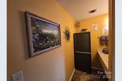 160 Whitney Boulevard #46, Lake Lure, NC 28746 - Photo 13