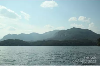 160 Whitney Boulevard #46, Lake Lure, NC 28746 - Photo 19