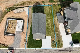 33 Loblolly Ln, Asheville, NC 28803 - Photo 17