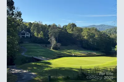 156 Sheepnose Drive, Lake Lure, NC 28746 - Photo 5