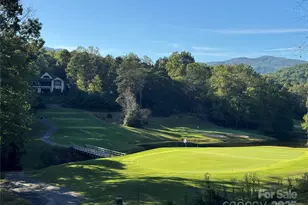 156 Sheepnose Dr, Lake Lure, NC 28746 - Photo 5