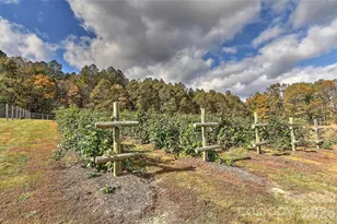 153 Badenyon Pl, Union Grove, NC 28689 - Photo 37