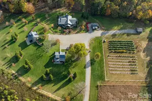 153 Badenyon Pl, Union Grove, NC 28689 - Photo 3