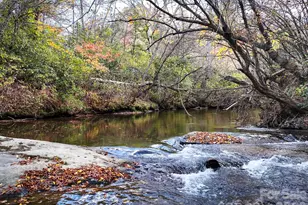 153 Badenyon Pl, Union Grove, NC 28689 - Photo 43