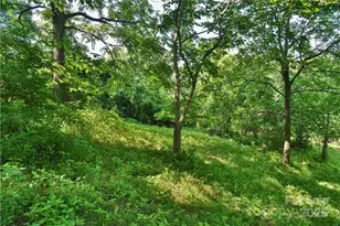 415 Weaverville Rd, Asheville, NC 28804 - Photo 11