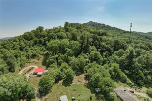 415 Weaverville Rd, Asheville, NC 28804 - Photo 43