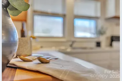 6231 Nc Hwy 16 None N, Taylorsville, NC 28681 - Photo 7