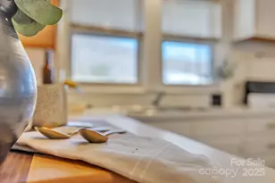 6231 Nc Hwy 16 None N, Taylorsville, NC 28681 - Photo 7