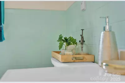 6231 Nc Hwy 16 None N, Taylorsville, NC 28681 - Photo 17