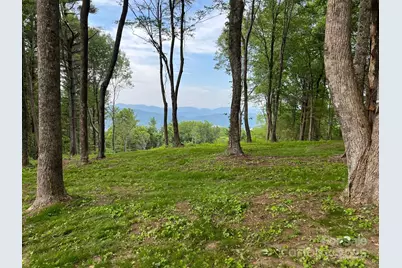 Tbd East Garden Trail #18, Hendersonville, NC 28792 - Photo 5