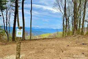 Tbd East Garden Trail, Hendersonville, NC 28792 - Photo 1