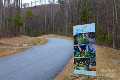 Tbd East Garden Trail #18, Hendersonville, NC 28792 - Photo 25