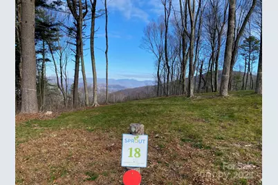 Tbd East Garden Trail #18, Hendersonville, NC 28792 - Photo 9