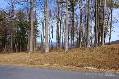 Tbd East Garden Trail #18, Hendersonville, NC 28792 - Photo 17