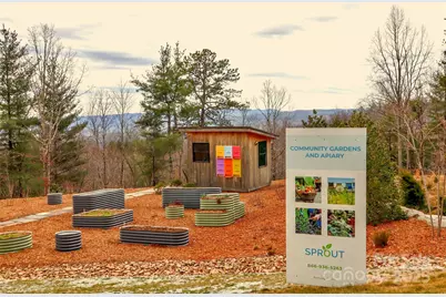 Tbd East Garden Trail #18, Hendersonville, NC 28792 - Photo 21