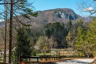 158 Stonecrest Ct, Lake Lure, NC 28746 - Photo 23