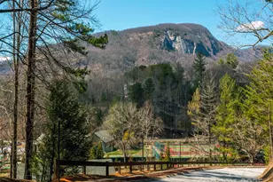 158 Stonecrest Ct, Lake Lure, NC 28746 - Photo 23