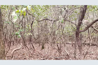 9999 Gagama Court #16/19, Brevard, NC 28712 - Photo 5