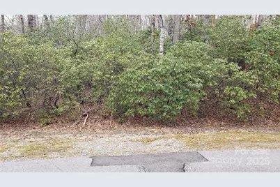 9999 Gagama Court #16/19, Brevard, NC 28712 - Photo 1