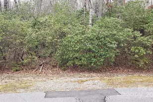 9999 Gagama Ct, Brevard, NC 28712 - Photo 1