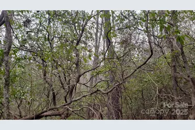 9999 Gagama Court #16/19, Brevard, NC 28712 - Photo 11